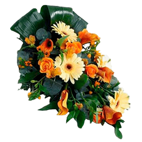 Sunset of Life: Rosas y Claveles Sunset of Life: Rosas y Claveles