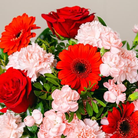 Amor del alma: Rosas y Gerberas highlight Amor del alma: Rosas y Gerberas highlight