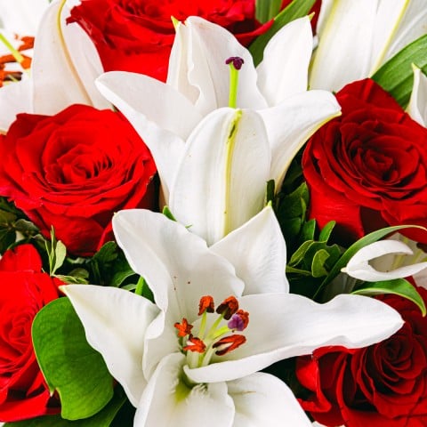 Nota de amor: Rosas rojas y lirios blancos highlight Nota de amor: Rosas rojas y lirios blancos highlight