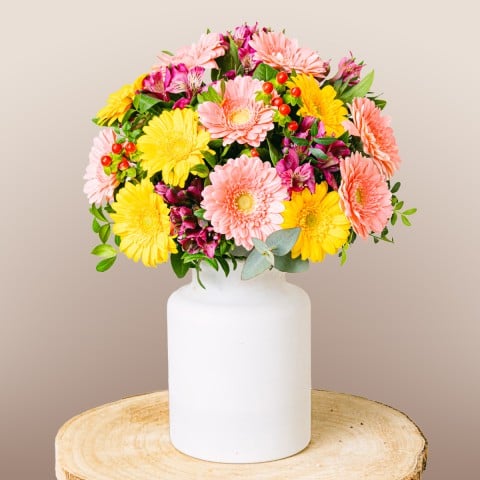 Full of Life: Gerberas y Alstroemerias Full of Life: Gerberas y Alstroemerias