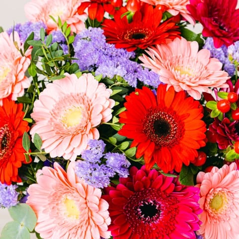 Cóctel Colorido: Gerberas rosas y rojas highlight Cóctel Colorido: Gerberas rosas y rojas highlight