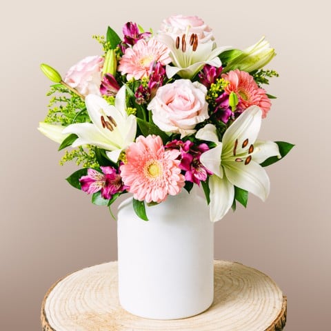 Dream World: Gerberas y Lirios Dream World: Gerberas y Lirios