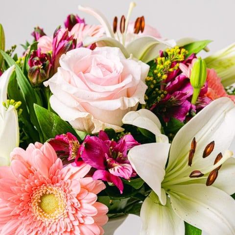 Dream World: Gerberas y Lirios highlight Dream World: Gerberas y Lirios highlight