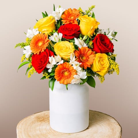 Floral Energy: Rosas y Gerberas Floral Energy: Rosas y Gerberas