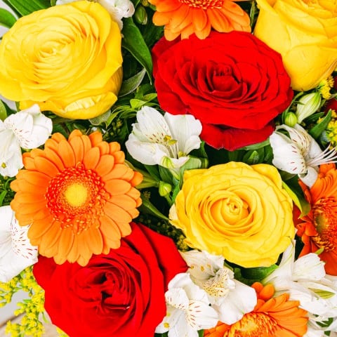 Floral Energy: Rosas y Gerberas highlight Floral Energy: Rosas y Gerberas highlight