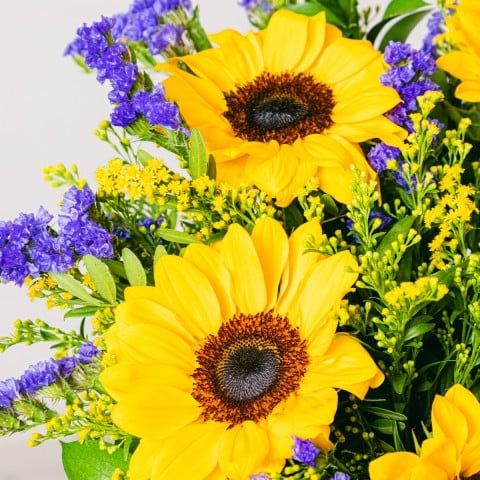 Sunshine boost: Girasoles y Estátice highlight Sunshine boost: Girasoles y Estátice highlight