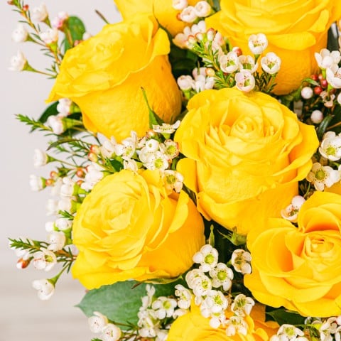 My Sunshine: Rosas Amarillas highlight My Sunshine: Rosas Amarillas highlight