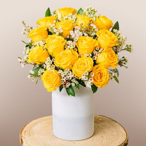 My Sunshine: Rosas Amarillas My Sunshine: Rosas Amarillas