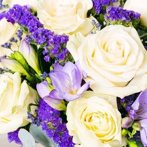 Belleza Elegante: Rosas y Fresias highlight Belleza Elegante: Rosas y Fresias highlight
