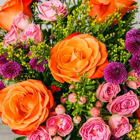 Atardecer: Rosas y crisantemos highlight Atardecer: Rosas y crisantemos highlight