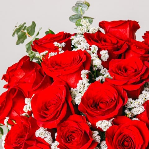Abrazo de Amor: 20 Rosas Rojas highlight Abrazo de Amor: 20 Rosas Rojas highlight