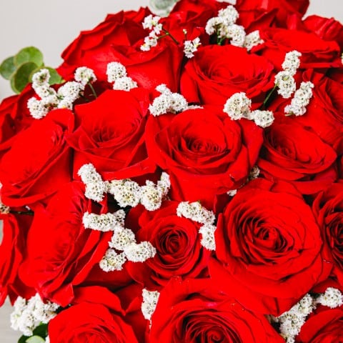 Pasión Infinita: 30 Rosas Rojas highlight Pasión Infinita: 30 Rosas Rojas highlight