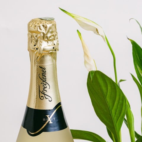 Peaceful Caprice: Lirio de la Paz y Cava highlight Peaceful Caprice: Lirio de la Paz y Cava highlight