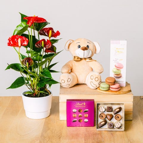 Dulce Medley: Cesta de Regalo Gourmet Dulce Medley: Cesta de Regalo Gourmet