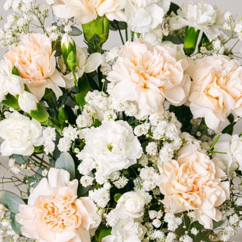 Flores Románticas: Rosas y Claveles highlight Flores Románticas: Rosas y Claveles highlight
