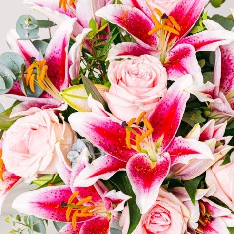 Frescura Sutil: Rosas y Lirios highlight Frescura Sutil: Rosas y Lirios highlight
