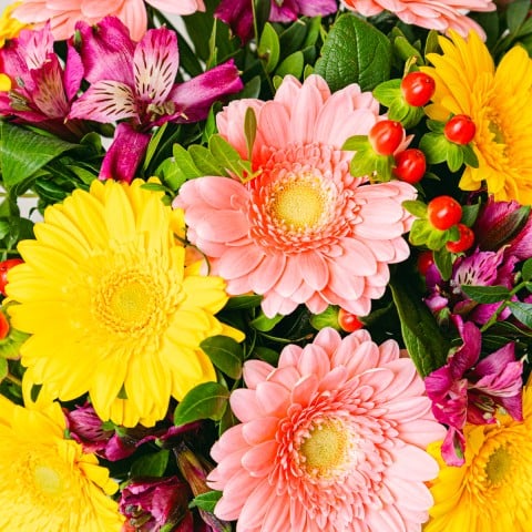 Deseos Soleados: Gerberas y Alstroemerias highlight Deseos Soleados: Gerberas y Alstroemerias highlight