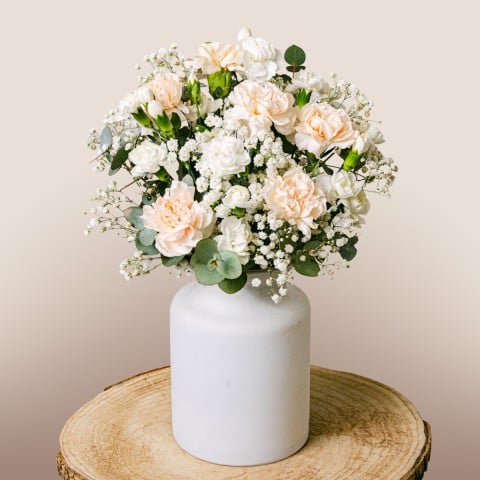 Flores Románticas: Rosas y Claveles Flores Románticas: Rosas y Claveles