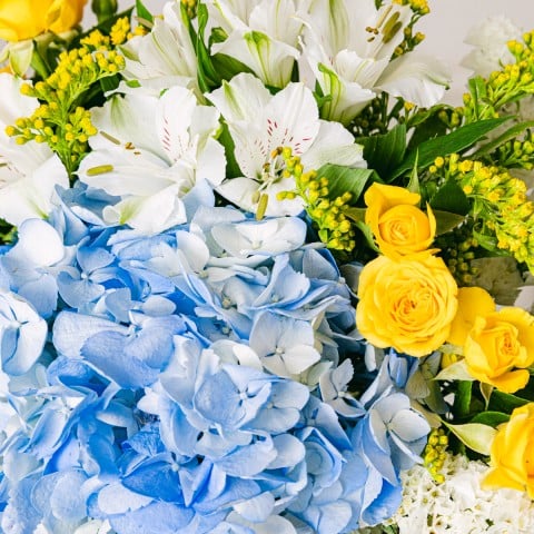 Night Sea: Hortensias y Alstroemeria highlight Night Sea: Hortensias y Alstroemeria highlight