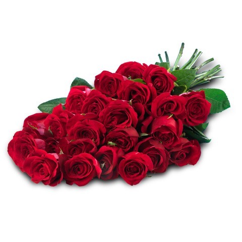 Cuáles son las mejores flores para el día de San Valentín?